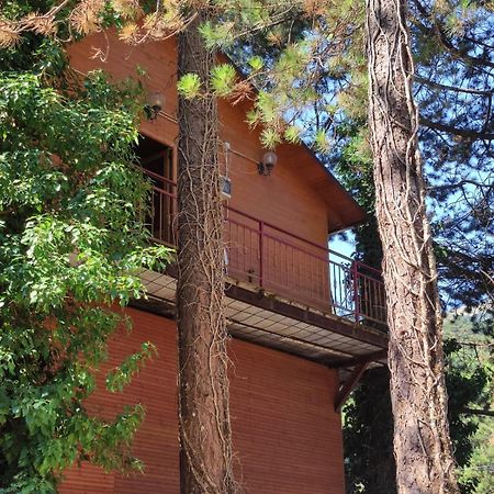 Hotel Toni Llogora Dukat Екстер'єр фото