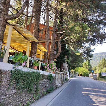 Hotel Toni Llogora Dukat Екстер'єр фото