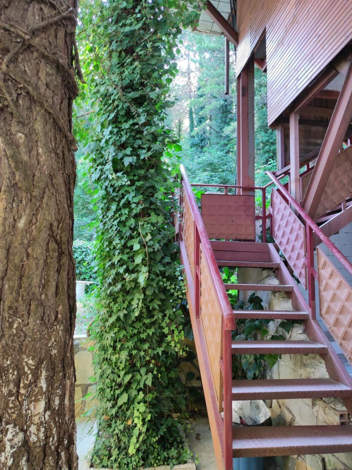 Hotel Toni Llogora Dukat Екстер'єр фото