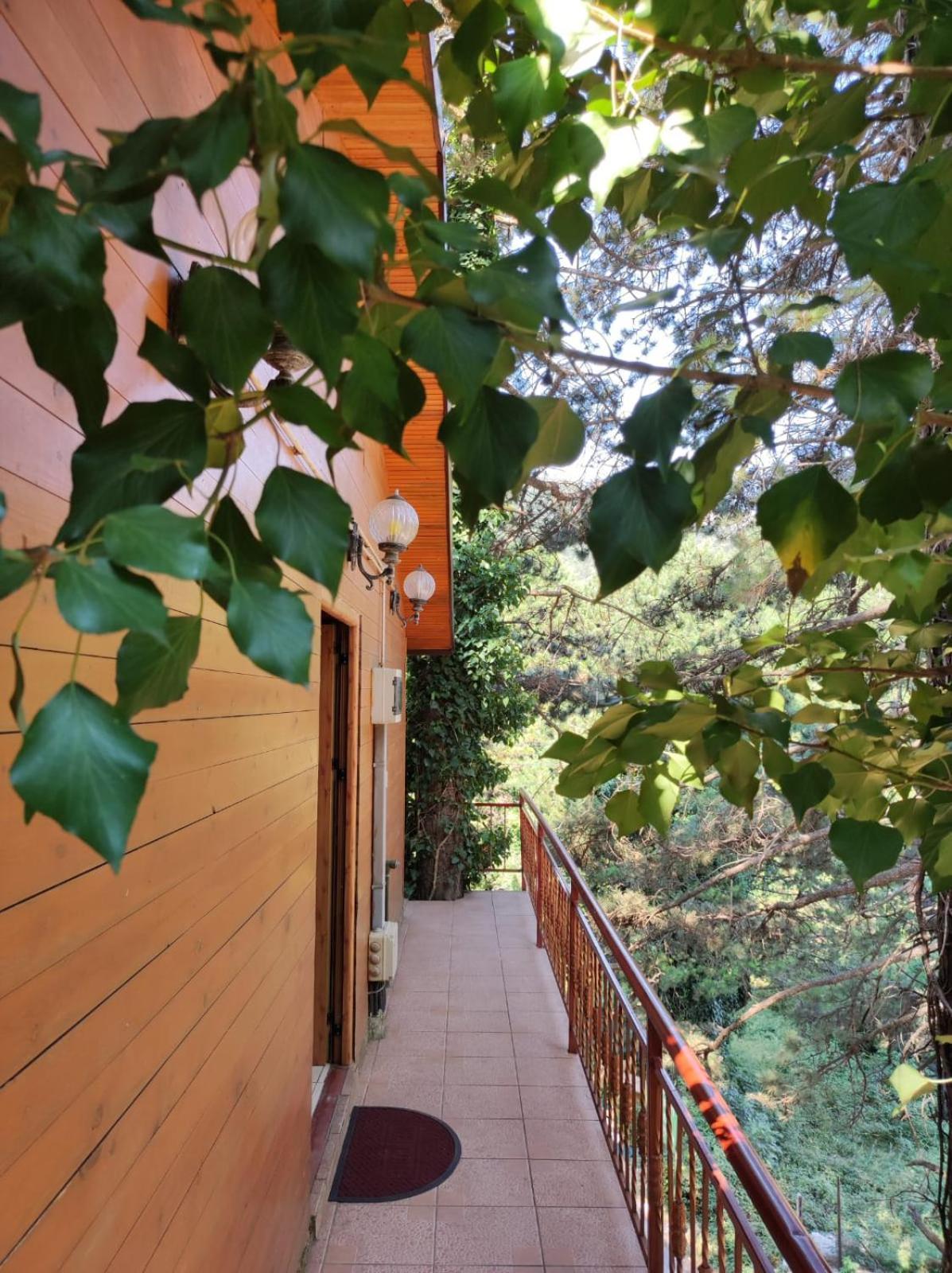 Hotel Toni Llogora Dukat Екстер'єр фото